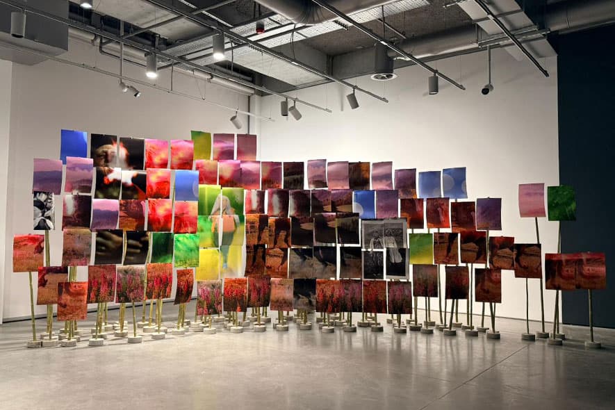 Always Returning Home: Wild Ducks Flying Against The Current